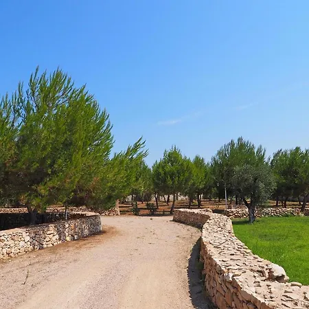 Leonida *